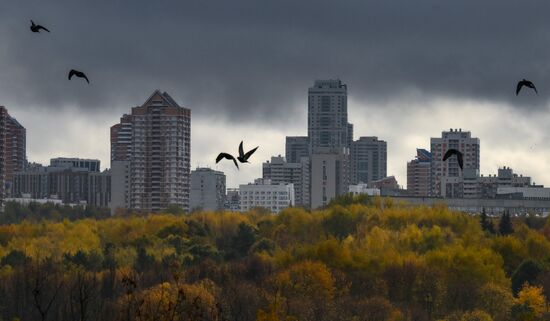 Повседневная жизнь в Москве