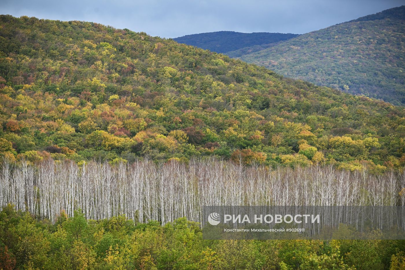 Виды Крыма