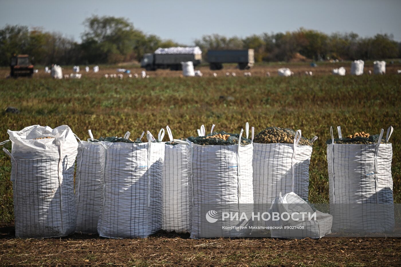 Сбор урожая овощей в Крыму