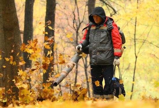 Повседневная жизнь в Москве