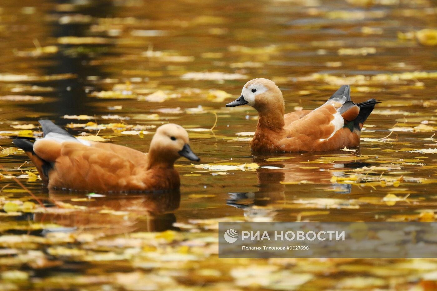 Повседневная жизнь в Москве