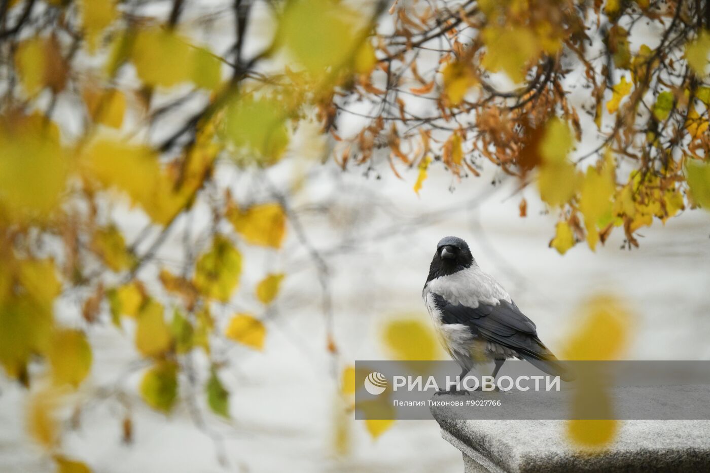 Повседневная жизнь в Москве