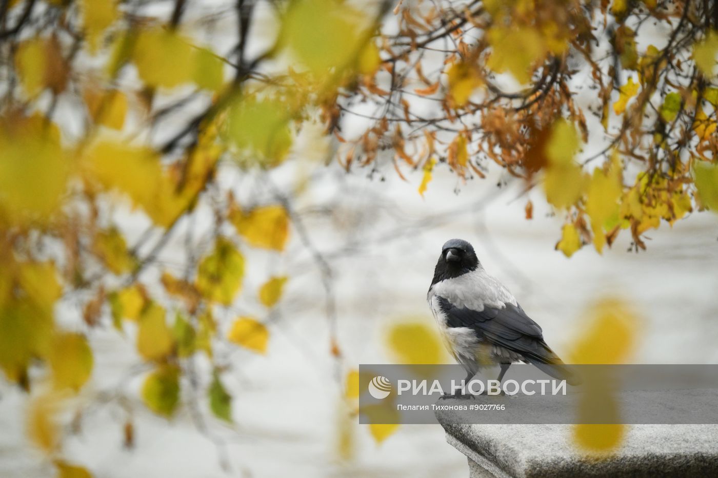 Повседневная жизнь в Москве