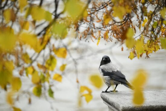 Повседневная жизнь в Москве