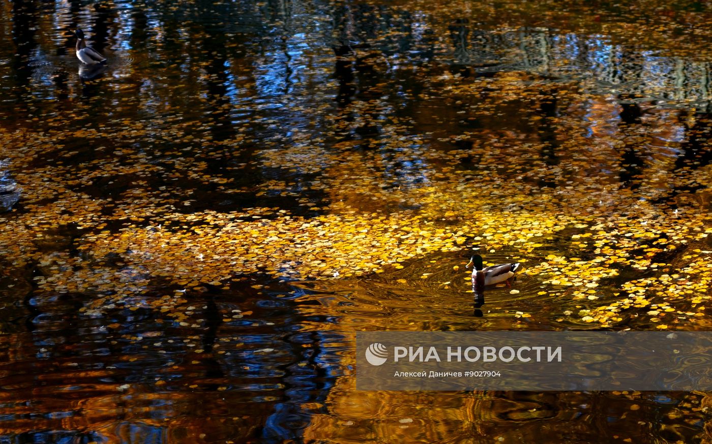 Осень в Санкт-Петербурге