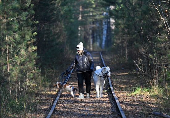 Повседневная жизнь в Красноярске