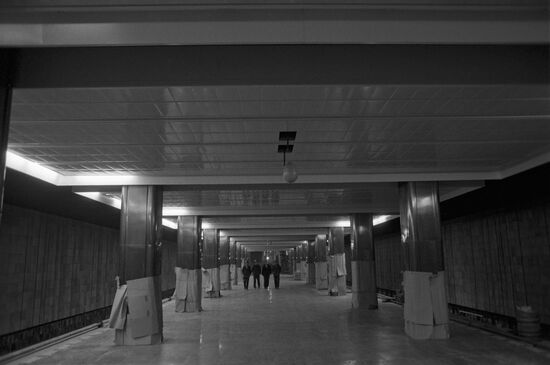 Станция "Пражская" Московского метрополитена