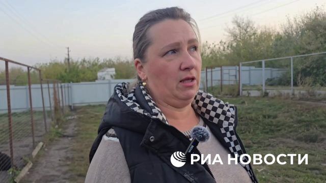 Раненную ВСУ собаку из Курской области забрала семья в Москве