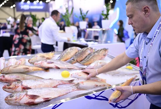 Рыбопромышленный форум "Seafood Expo Russia"