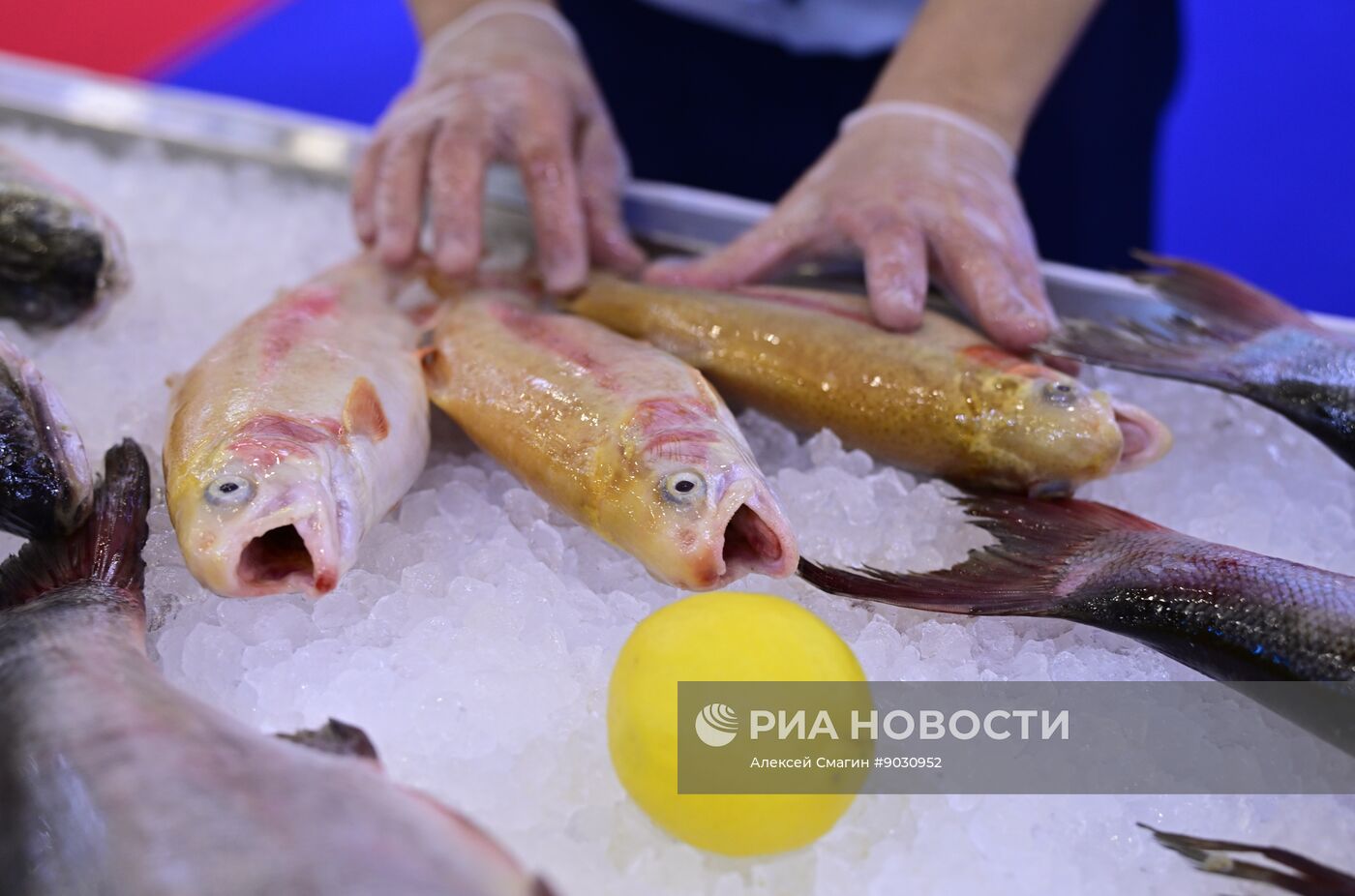 Рыбопромышленный форум "Seafood Expo Russia"