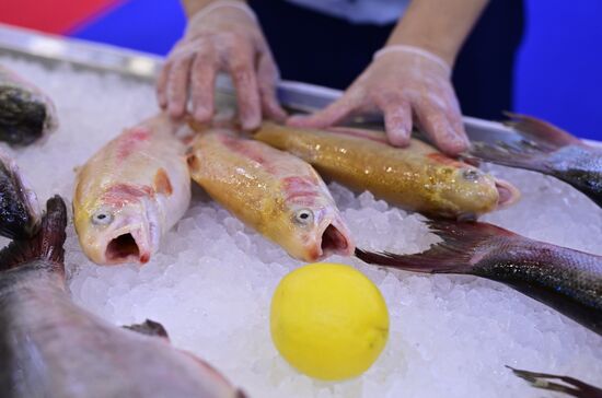 Рыбопромышленный форум "Seafood Expo Russia"