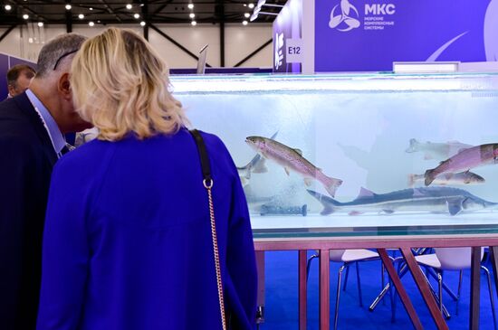 Выставка Seafood Expo Russia в Санкт-Петербурге