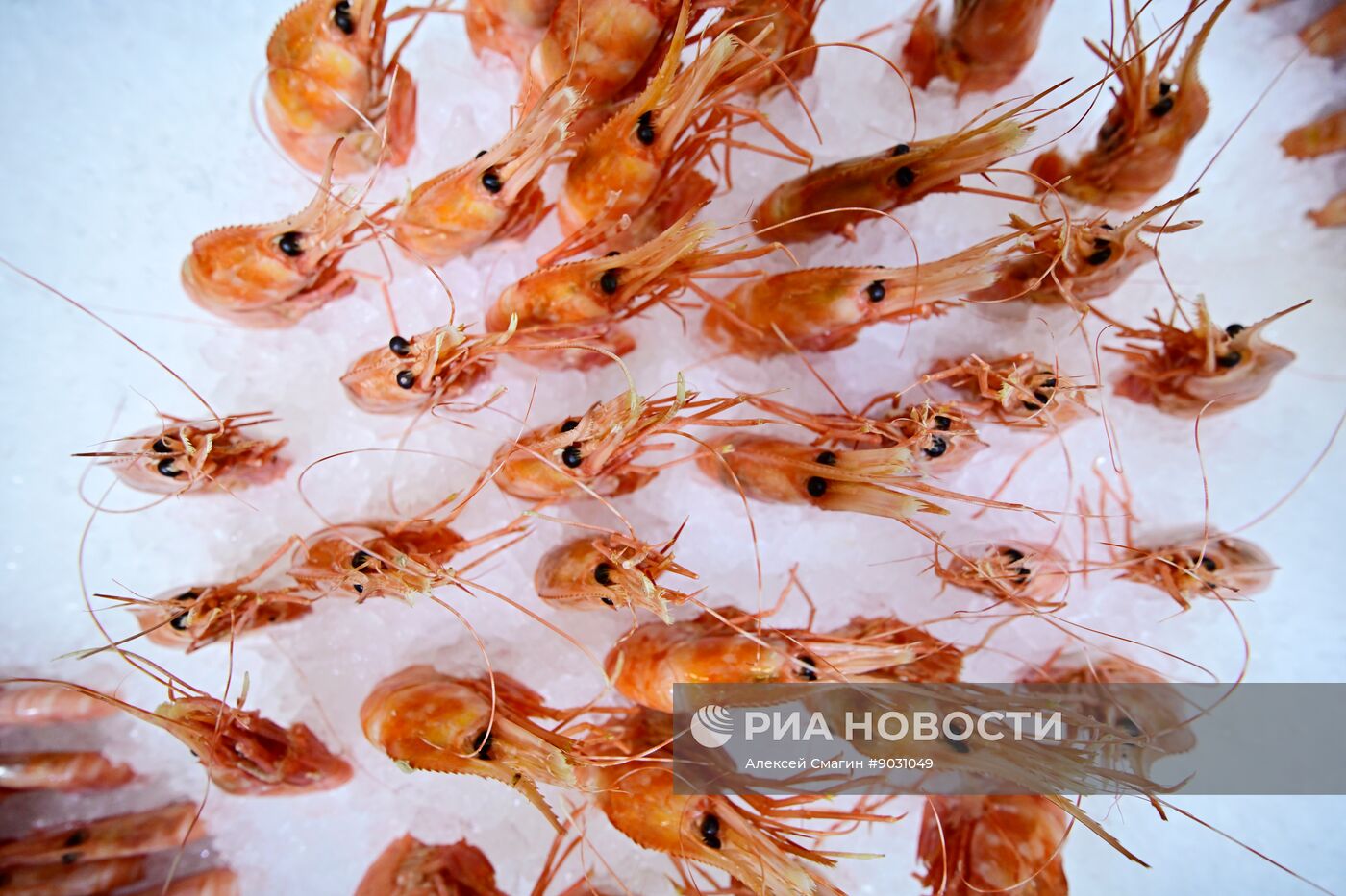 Выставка Seafood Expo Russia в Санкт-Петербурге