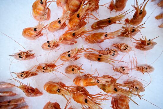 Выставка Seafood Expo Russia в Санкт-Петербурге