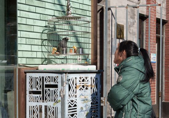 Повседневная жизнь в Пекине