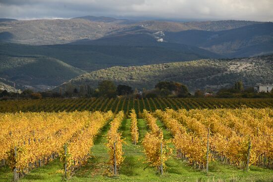 Осень в Крыму
