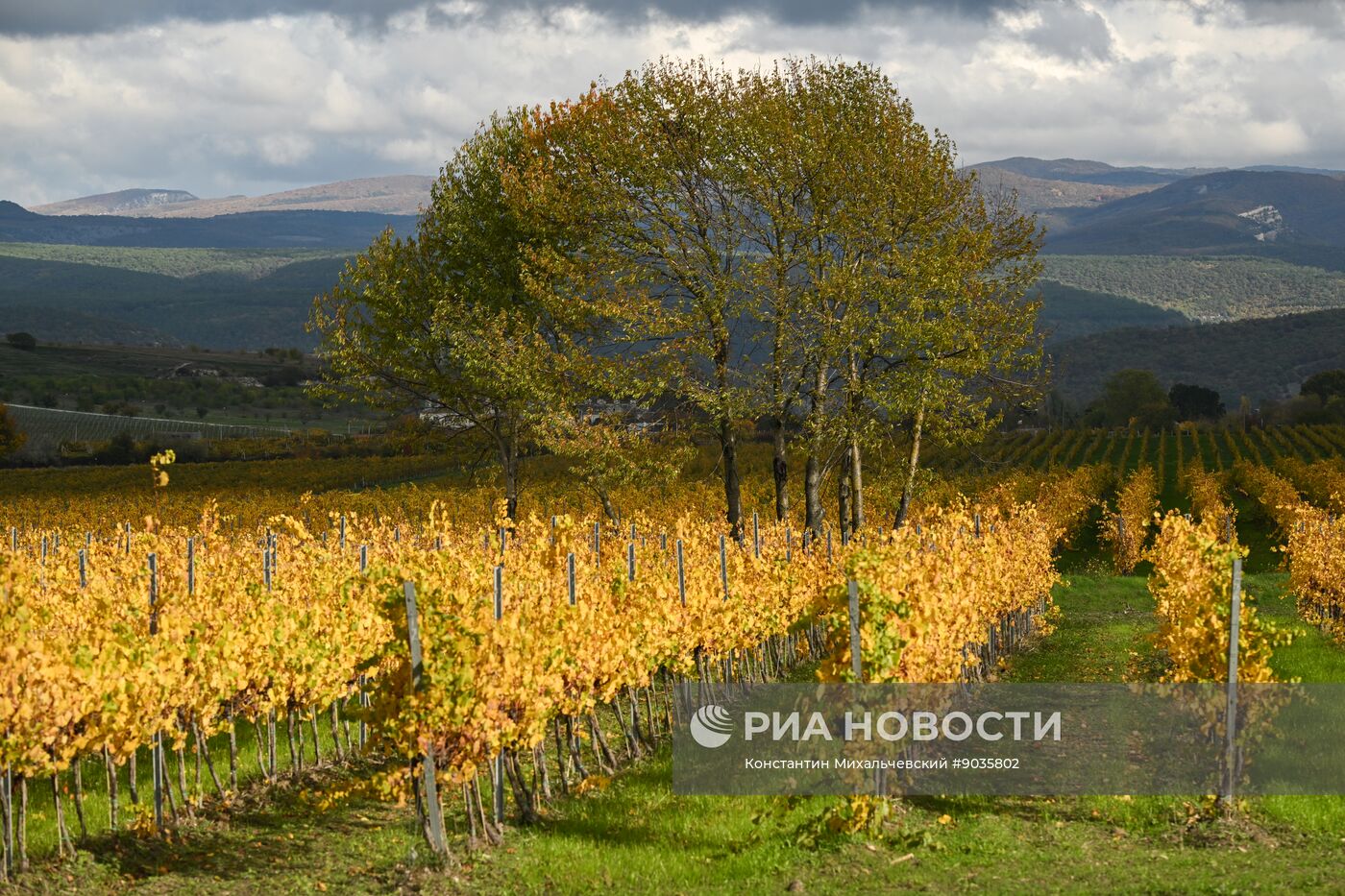 Осень в Крыму