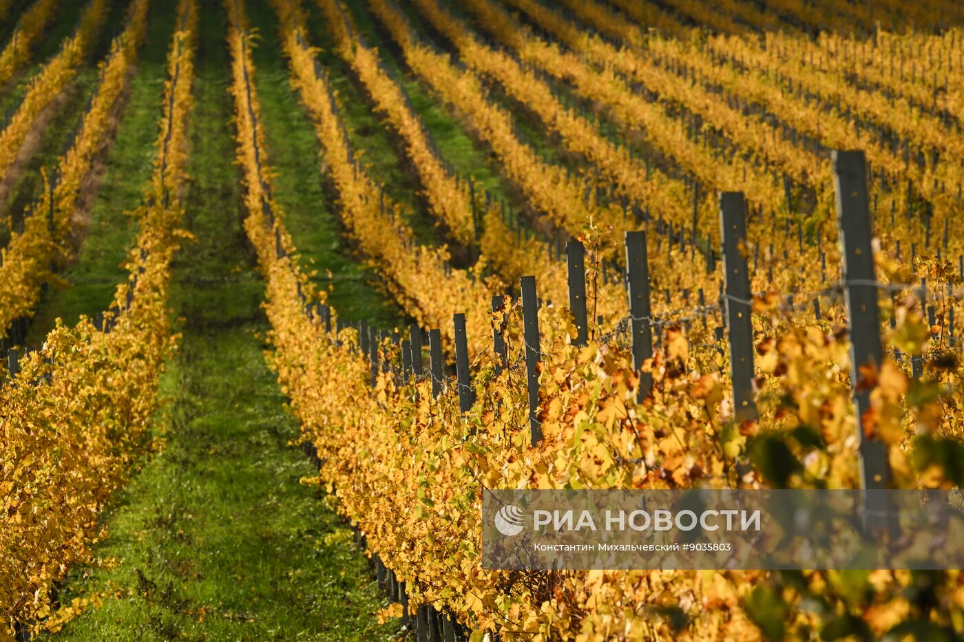 Осень в Крыму