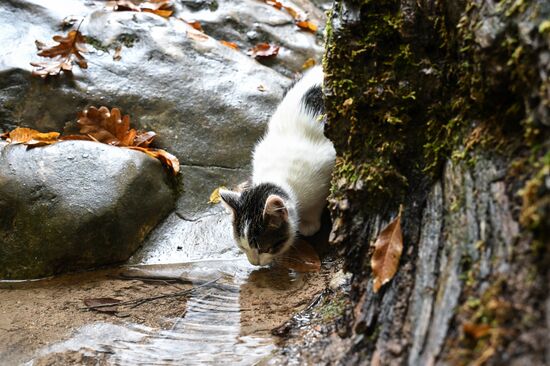 Осень в Крыму