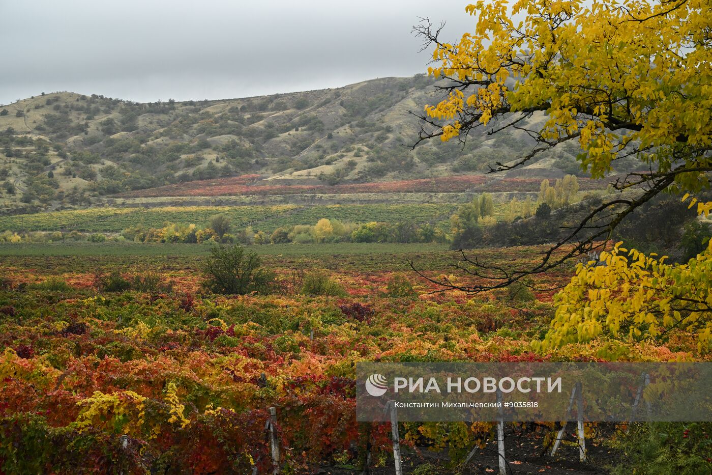 Осень в Крыму