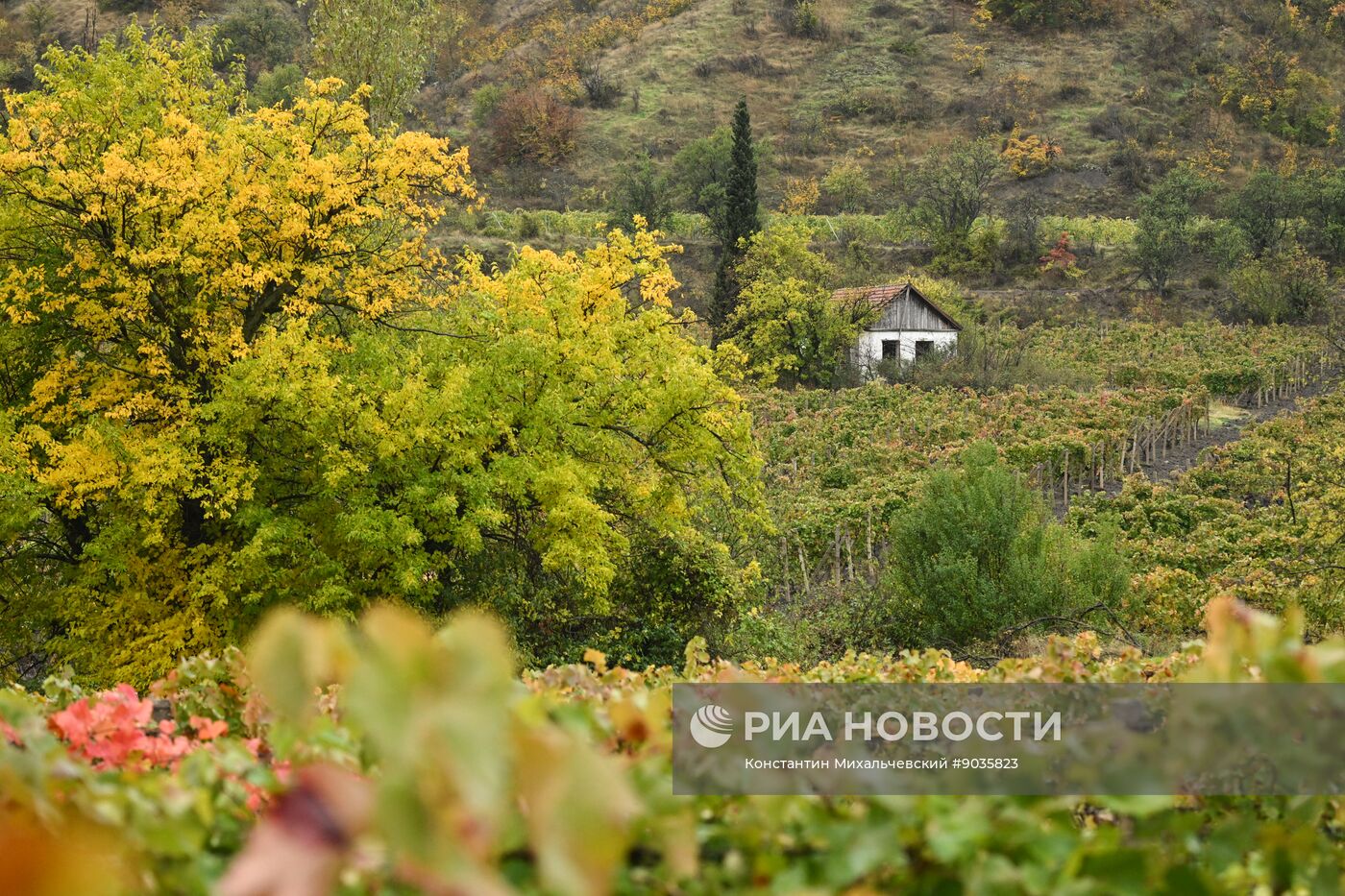 Осень в Крыму