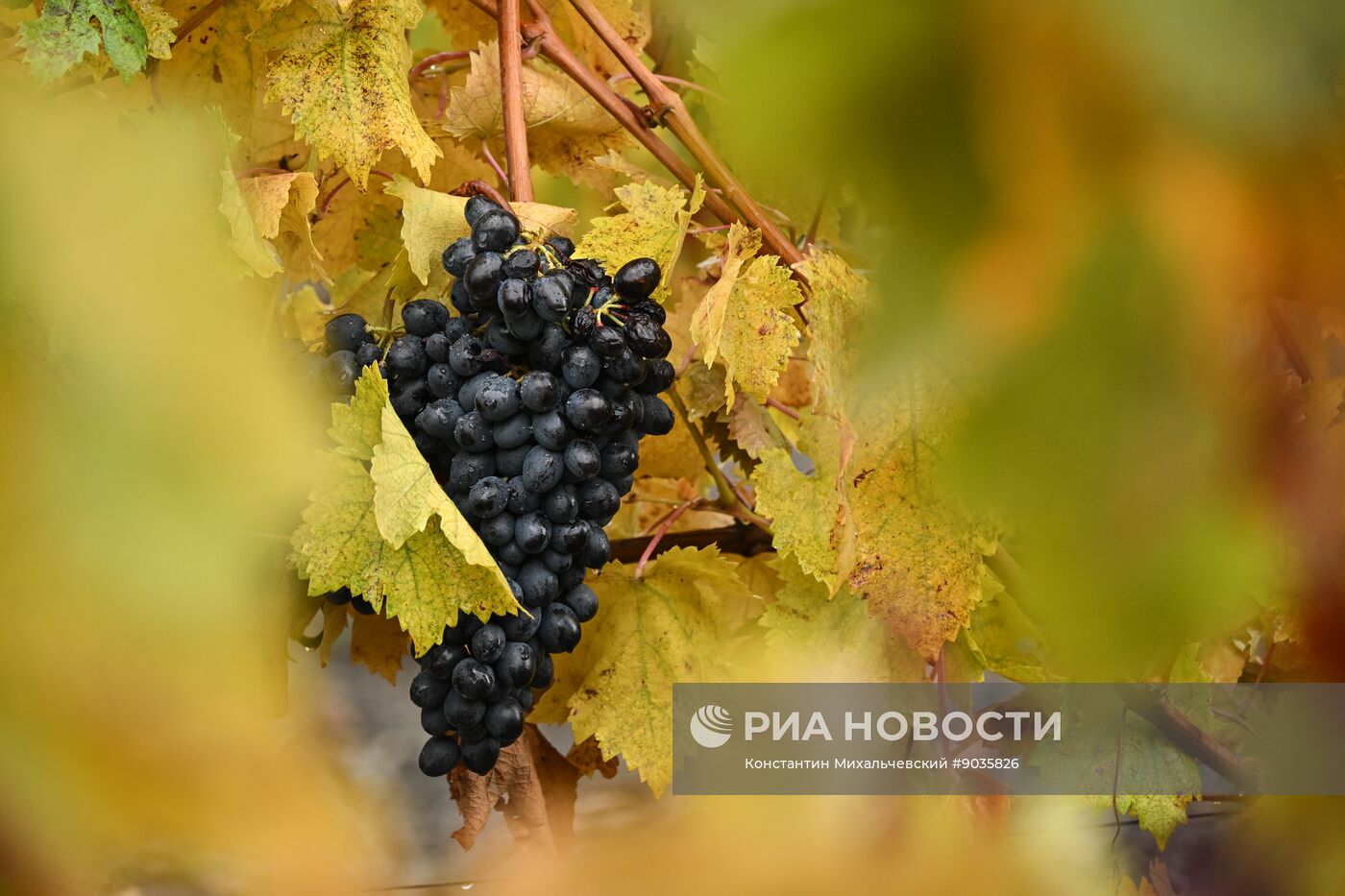 Осень в Крыму