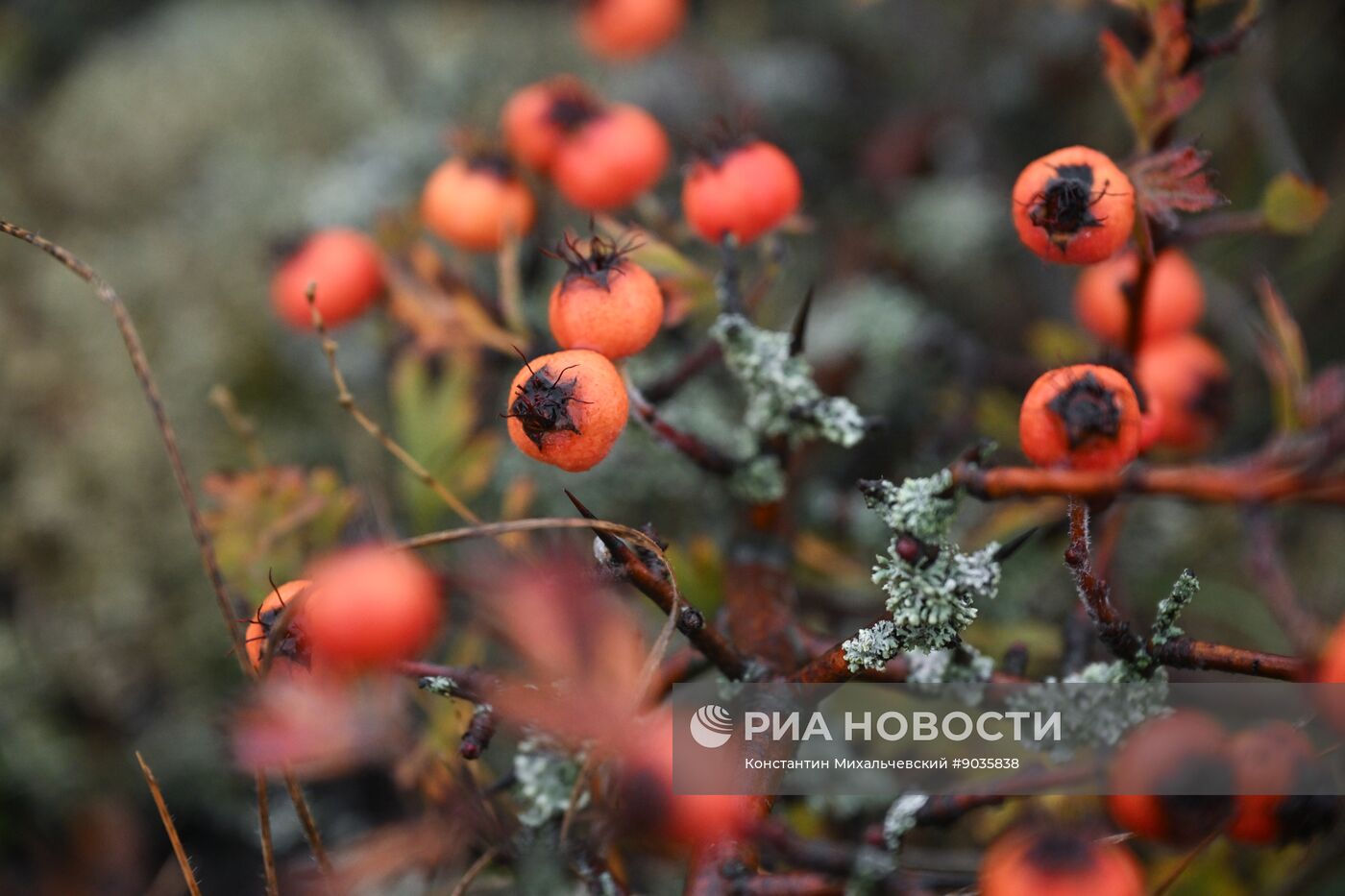 Осень в Крыму