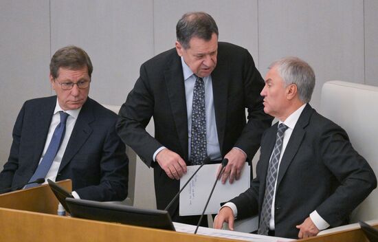 Пленарное заседание Госдумы РФ