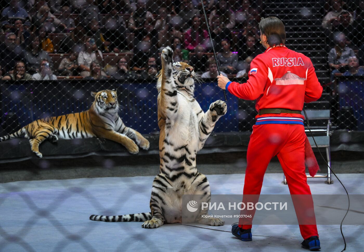 Открытая репетиция в Большом Московском цирке