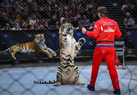 Открытая репетиция в Большом Московском цирке