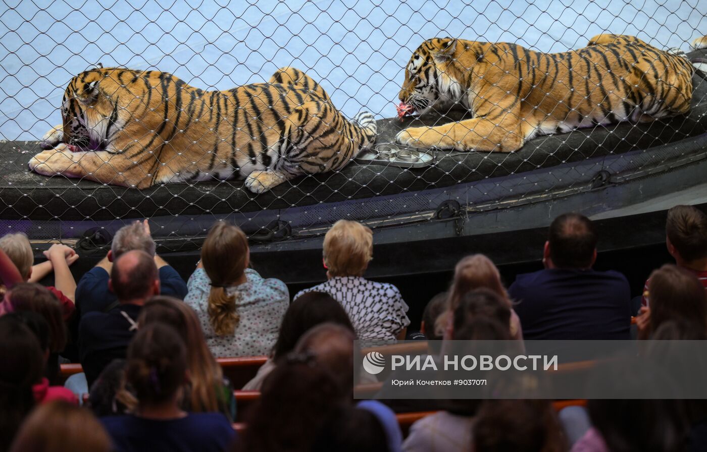 Открытая репетиция в Большом Московском цирке