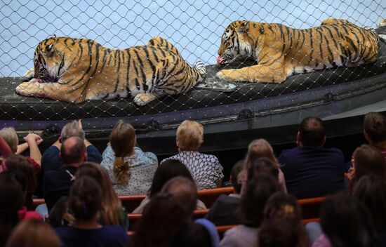 Открытая репетиция в Большом Московском цирке