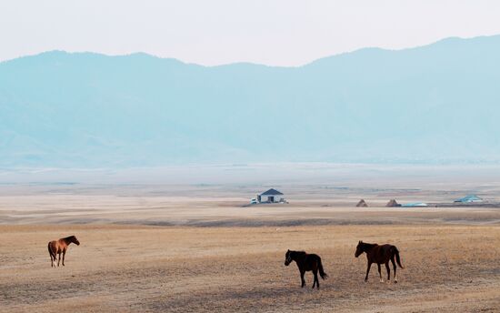 Виды Казахстана