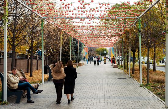 Виды Казахстана