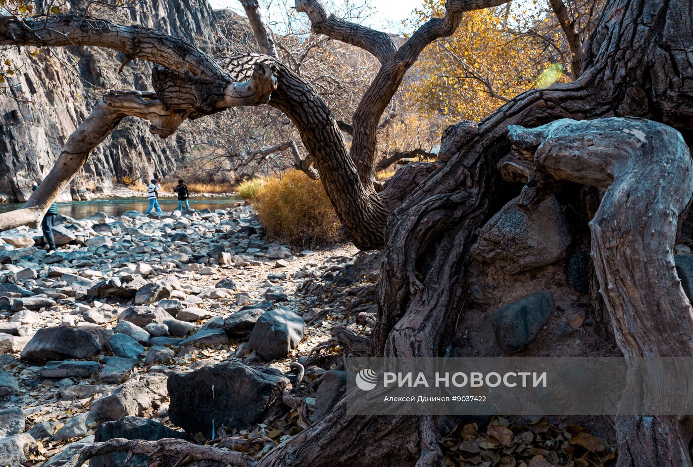 Виды Казахстана