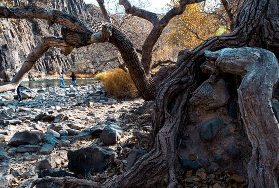 Виды Казахстана