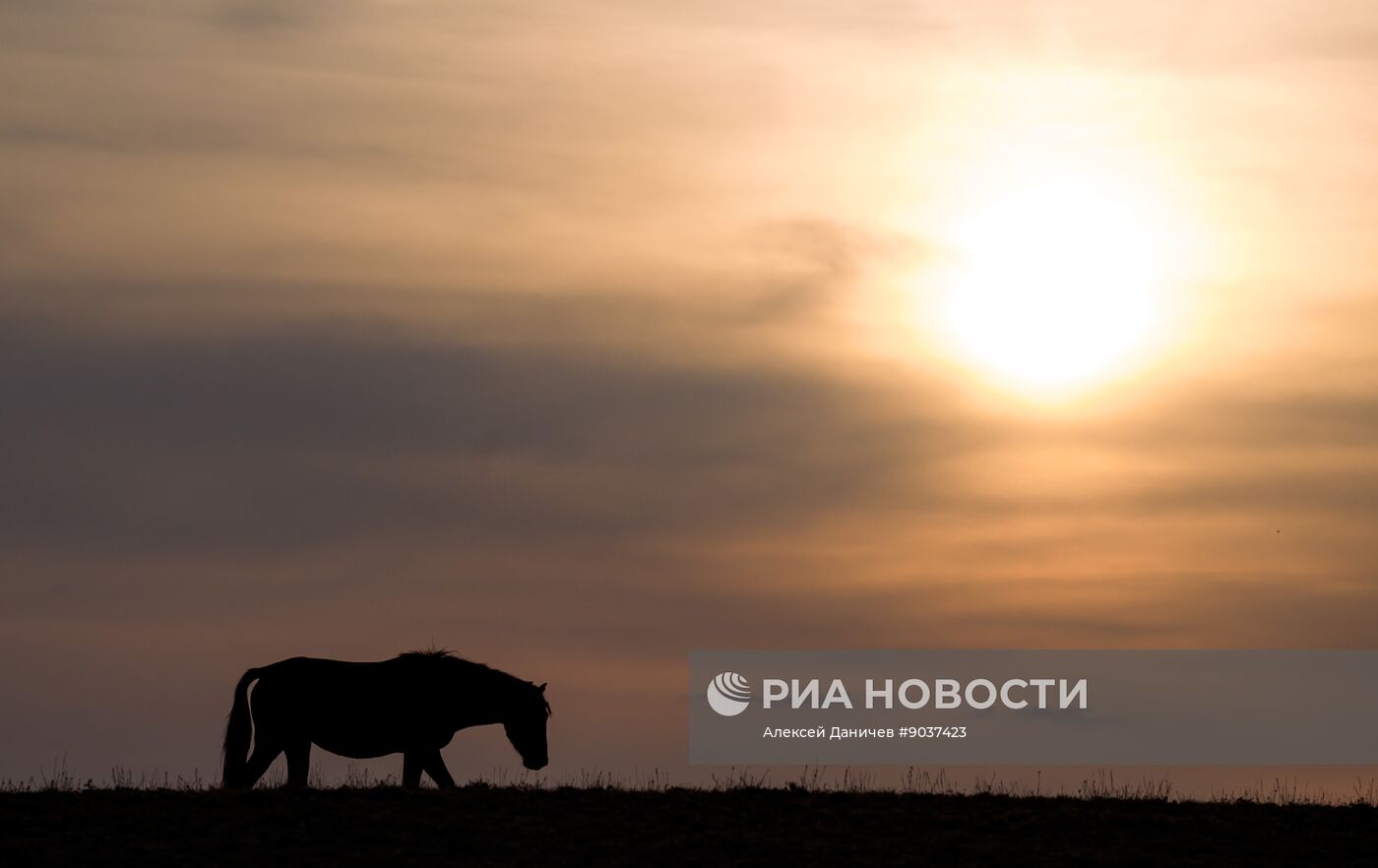 Виды Казахстана