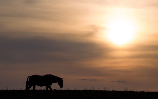 Виды Казахстана