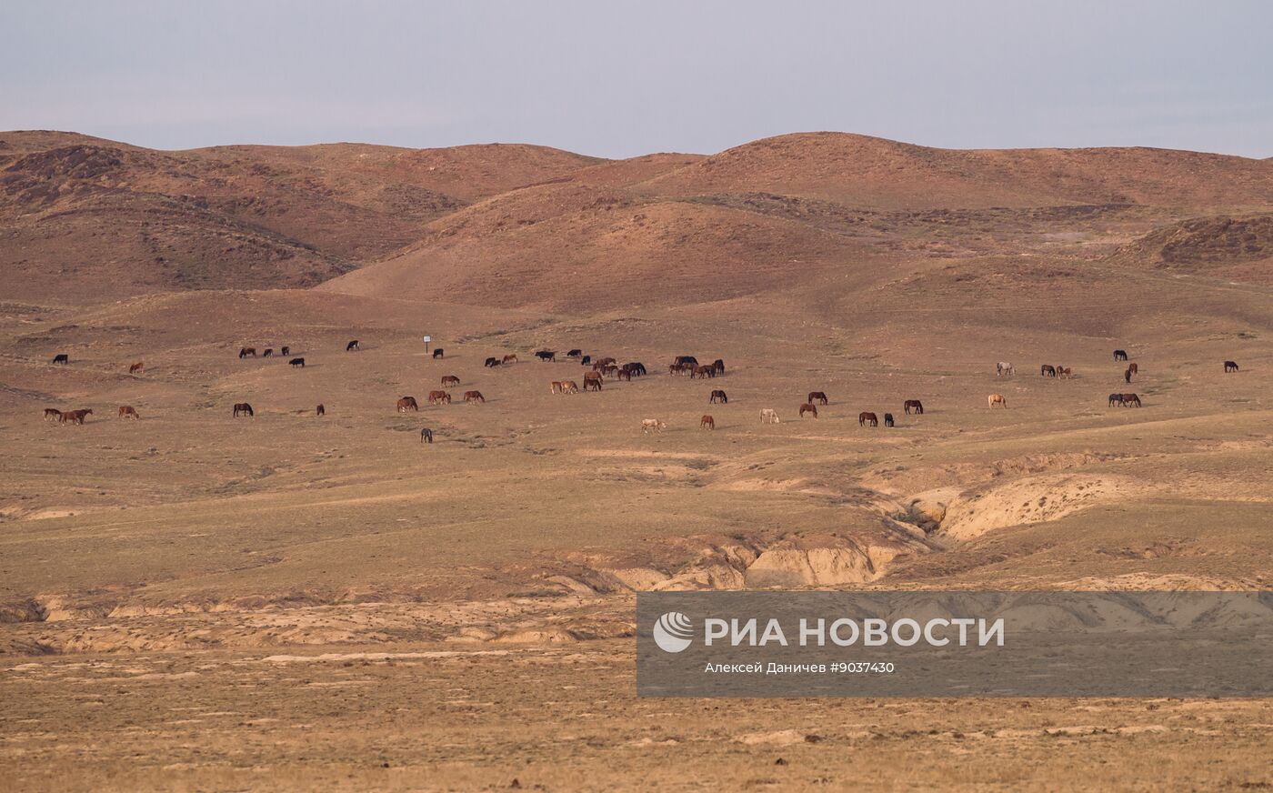 Виды Казахстана