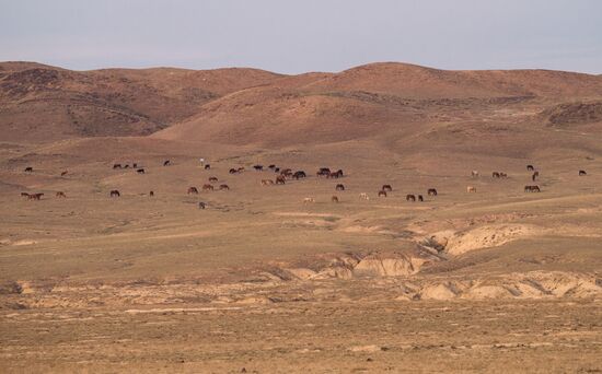 Виды Казахстана