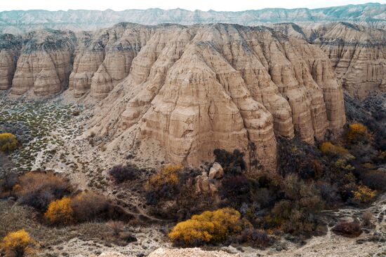 Виды Казахстана