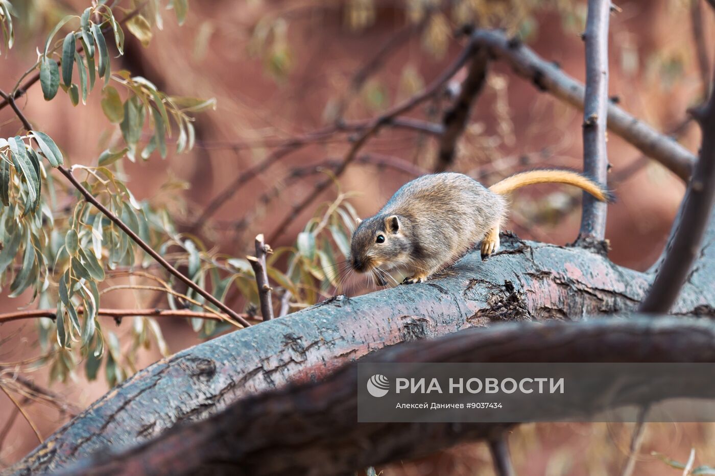 Виды Казахстана