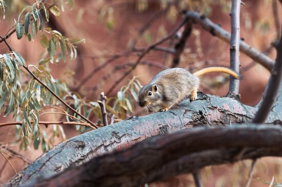 Виды Казахстана