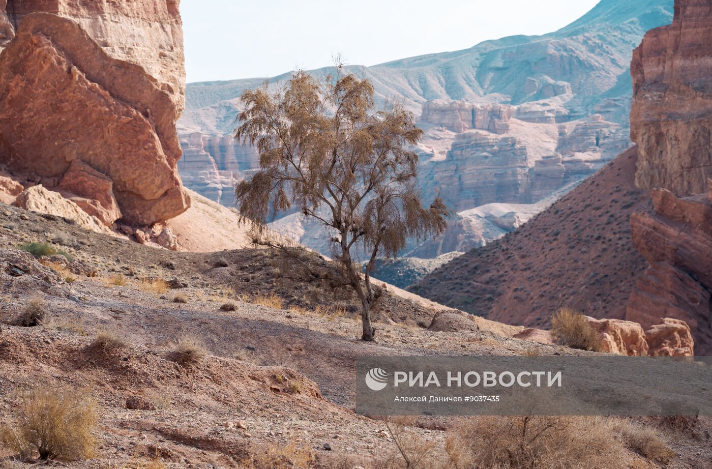 Виды Казахстана