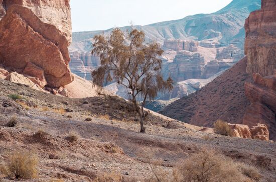 Виды Казахстана