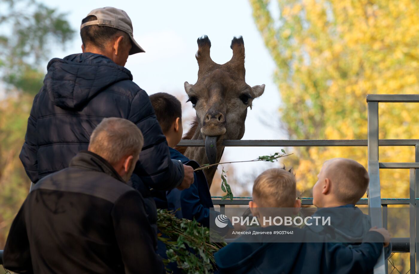 Виды Казахстана