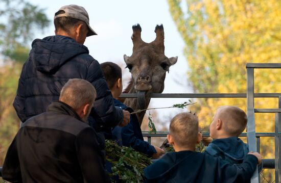 Виды Казахстана