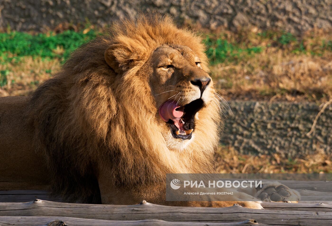 Виды Казахстана