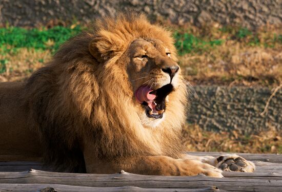 Виды Казахстана