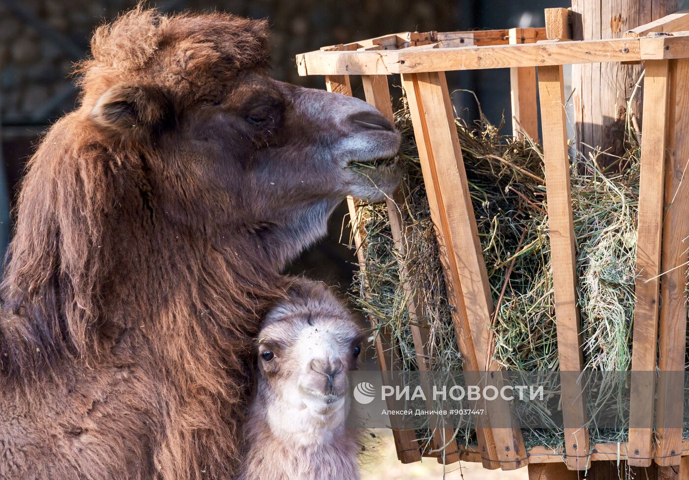 Виды Казахстана
